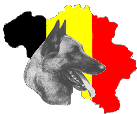 Smart Dogs logo